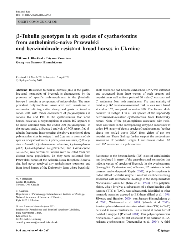 Thesis on benzimidazole 07 image