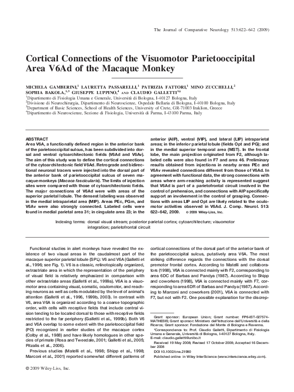 (PDF) Cortical connections of the visuomotor parietooccipital area V6Ad ...