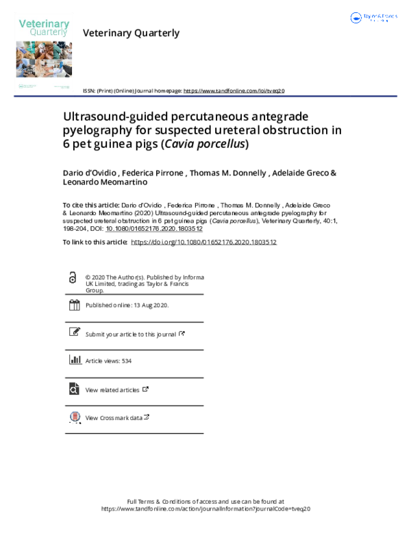 (PDF) Ultrasound-guided percutaneous antegrade pyelography for ...