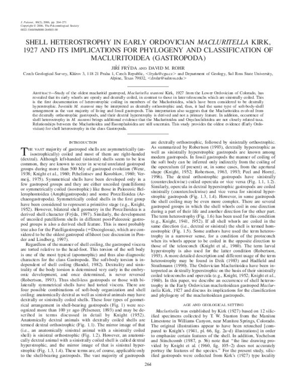 (PDF) Shell Heterostrophy in Early Ordovician Macluritella Kirk, 1927 ...