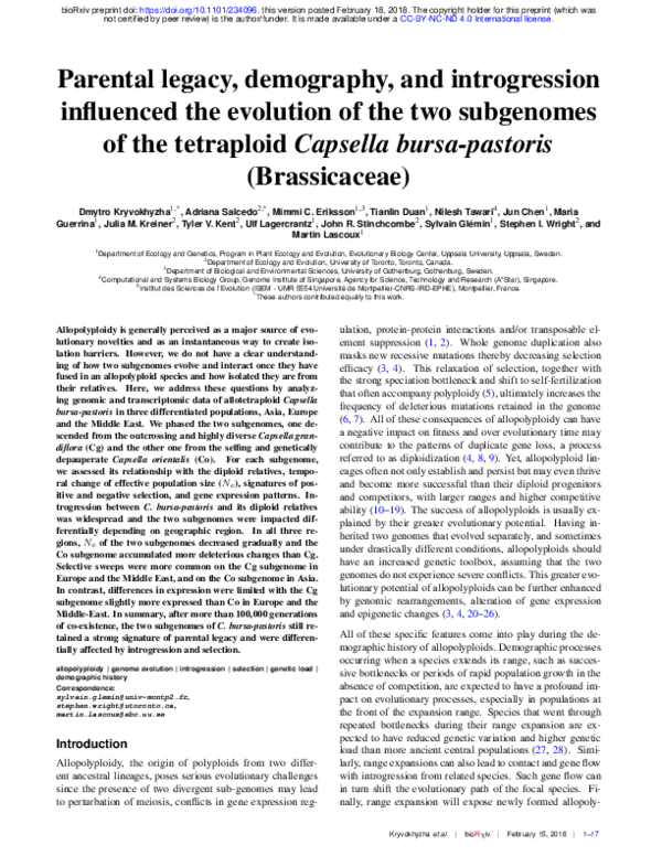 Parental legacy, demography, and introgression influenced the evolution of the two subgenomes of the tetraploid Capsella bursa-pastoris (Brassicaceae)