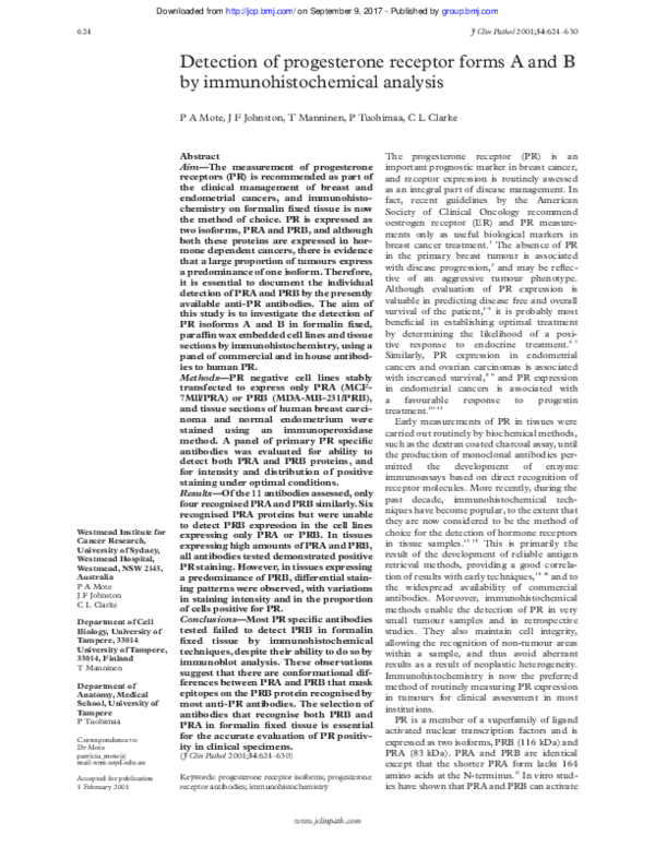 (PDF) Detection of progesterone receptor forms A and B by ...