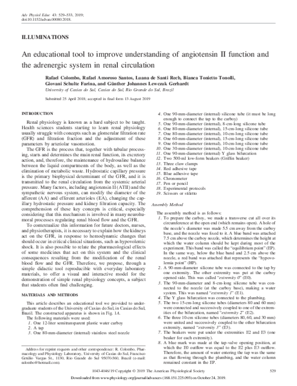 (PDF) An educational tool to improve understanding of angiotensin II ...