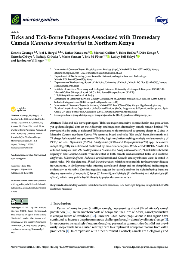 (PDF) Ticks and Tick-Borne Pathogens Associated with Dromedary Camels ...