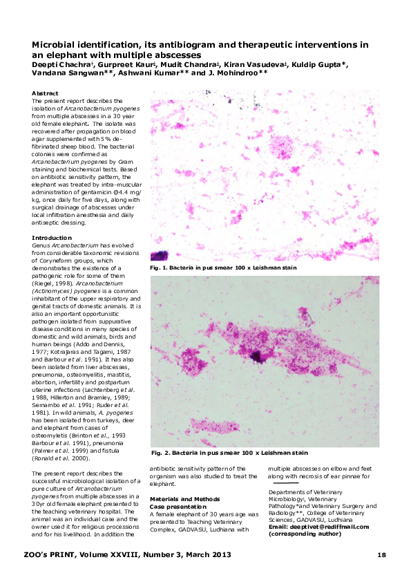 (PDF) Microbial identification, its antibiogram and therapeutic ...