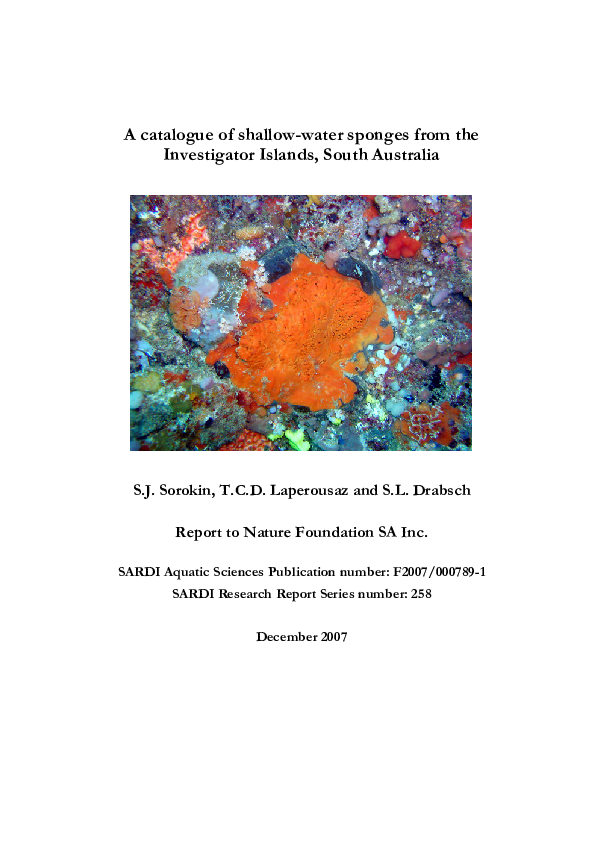 (PDF) A catalogue of shallow-water sponges from the Investigator ...
