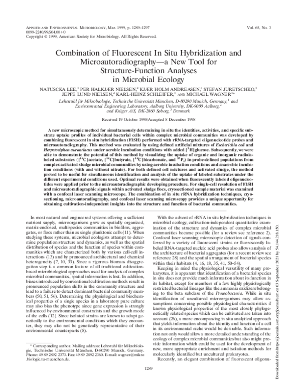 (PDF) Combination of fluorescent in situ hybridization and ...