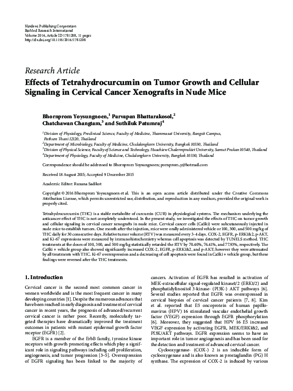 (PDF) Effects of Tetrahydrocurcumin on Tumor Growth and Cellular ...