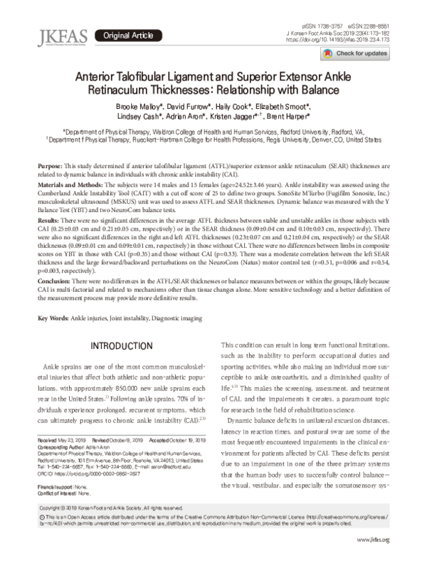 14193 essay 07 image