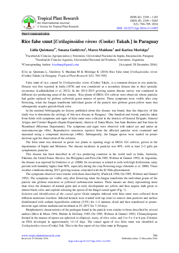 Why is paraguay considered a bilingual nation image