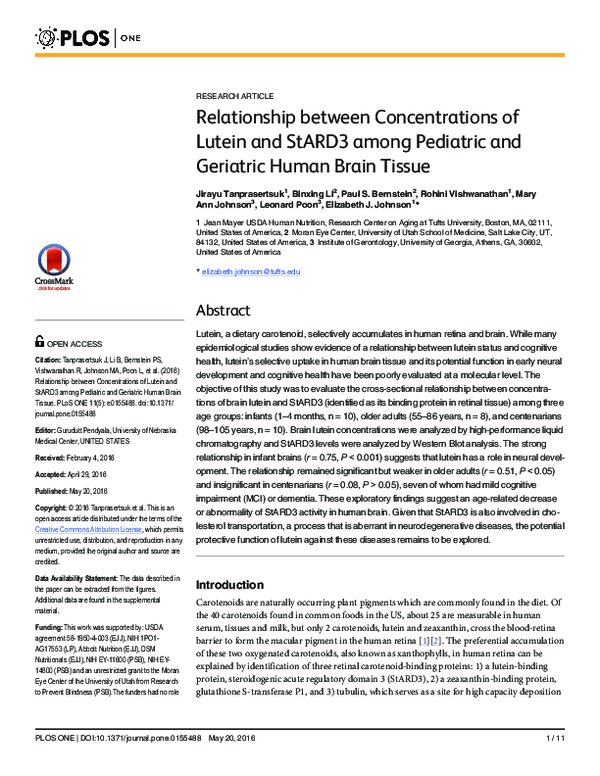 Lutein rich foods image