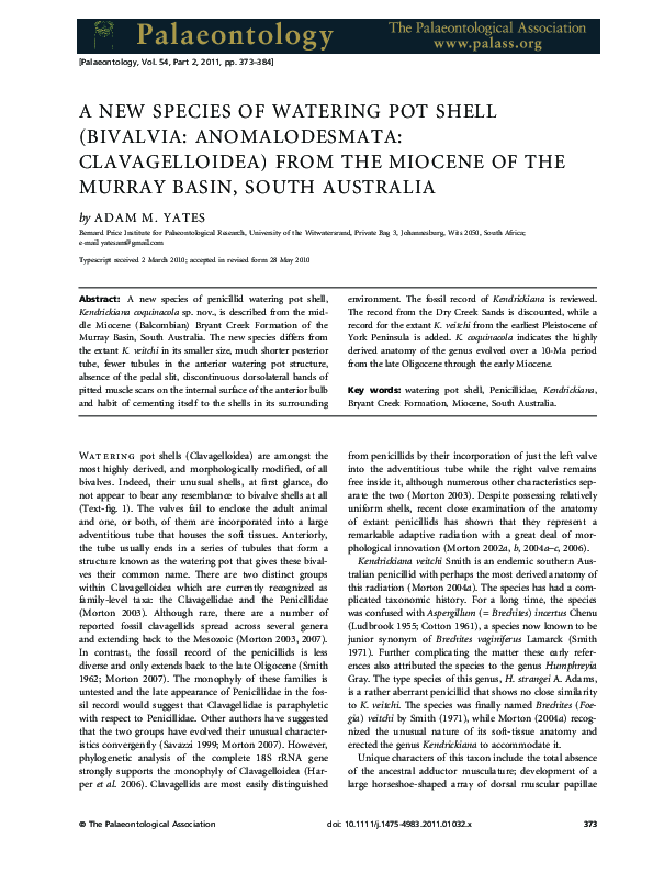 (PDF) A new species of watering pot shell (Bivalvia: Anomalodesmata ...