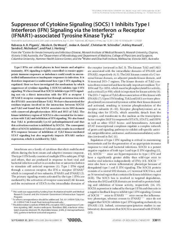 (PDF) Suppressor of Cytokine Signaling (SOCS) 1 Inhibits Type I ...