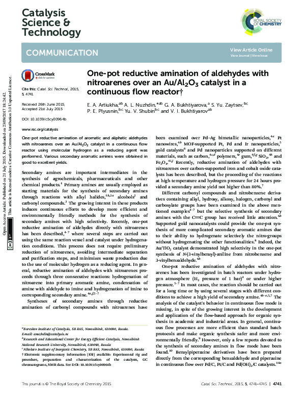 (PDF) One-pot reductive amination of aldehydes with nitroarenes over an ...