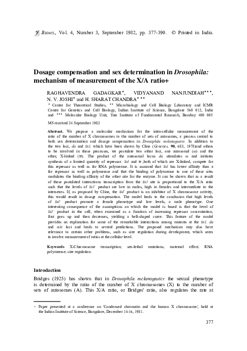 (PDF) Dosage compensation and sex determination in Drosophila ...