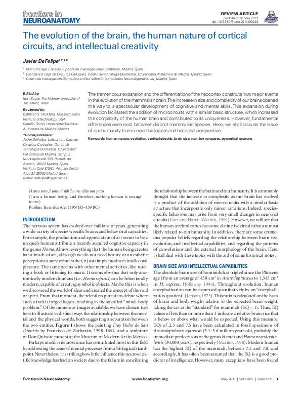 (PDF) The Evolution of the Brain, the Human Nature of Cortical Circuits ...