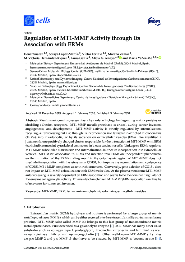 (PDF) Regulation of MT1-MMP Activity through Its Association with ERMs