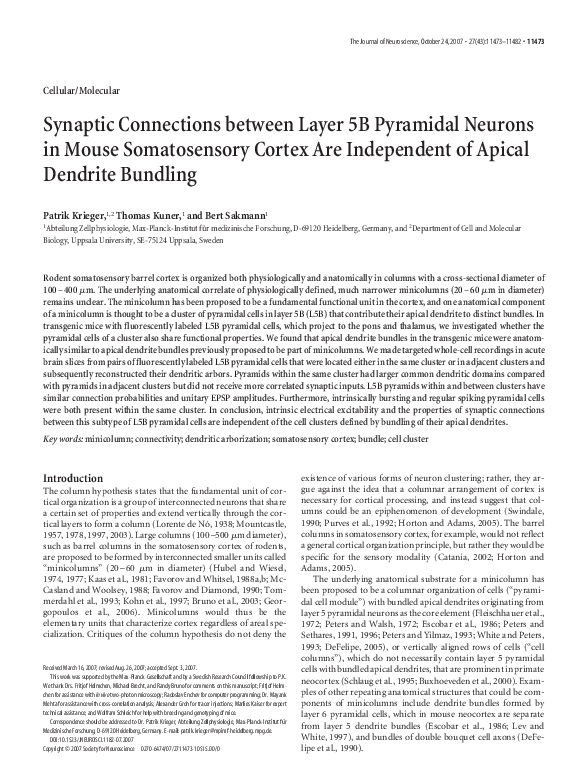 (PDF) Synaptic Connections between Layer 5B Pyramidal Neurons in Mouse ...