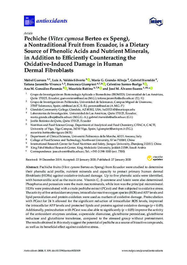 (PDF) Pechiche (Vitex cymosa Berteo ex Speng), a Nontraditional Fruit ...