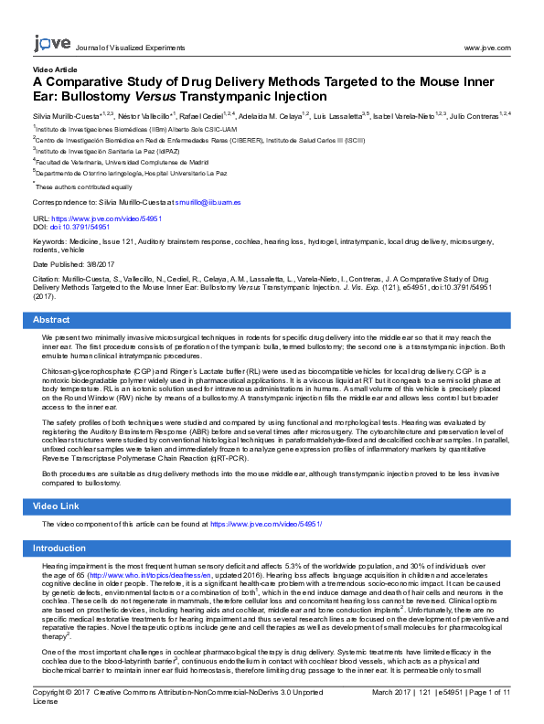 (PDF) A Comparative Study of Drug Delivery Methods Targeted to the ...
