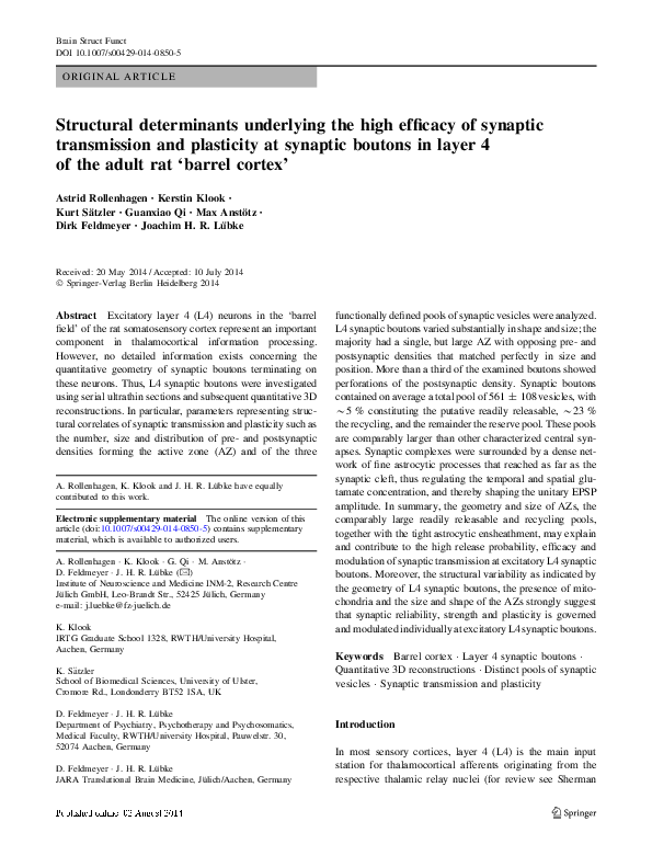(PDF) Structural determinants underlying the high efficacy of synaptic ...