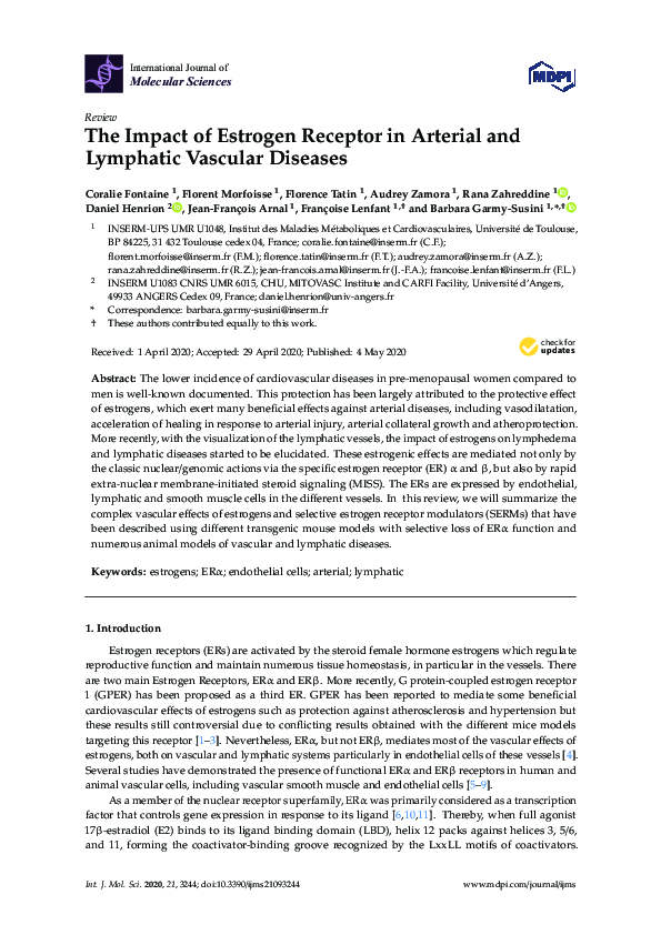 (PDF) The Impact of Estrogen Receptor in Arterial and Lymphatic ...
