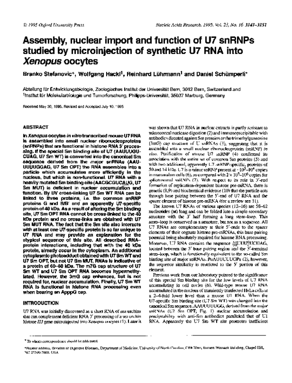 (PDF) Assemble, nuclear import and function of U7 snRNPs studied by ...