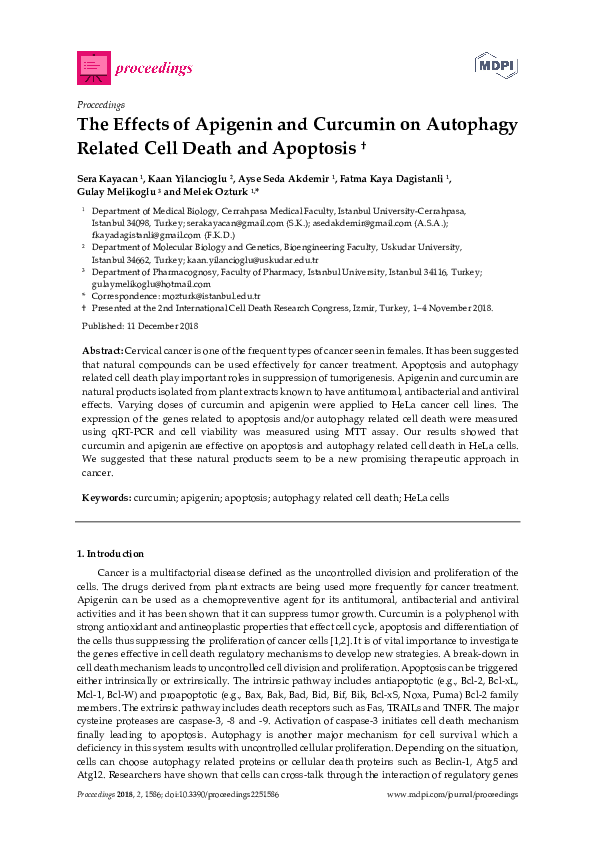 (PDF) The Effects of Apigenin and Curcumin on Autophagy Related Cell ...