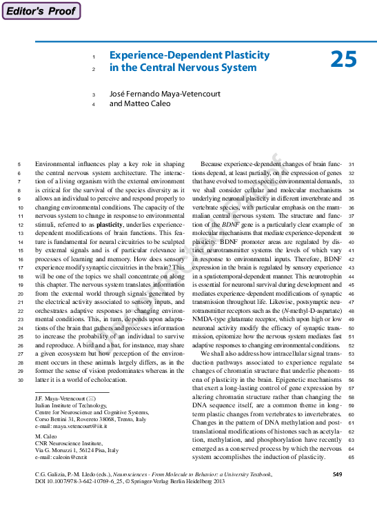 (PDF) Experience-Dependent Plasticity in the Central Nervous System
