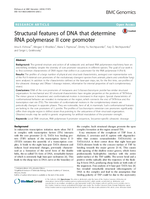 (PDF) Structural features of DNA that determine RNA polymerase II core ...