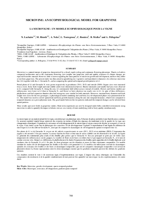 (PDF) The microvine: a promising model for studying interactions ...