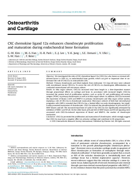 Bones by lee j engfer essays 03 image