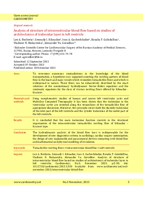 (PDF) Analysis of Structure of Intraventricular Blood Flow Based on ...