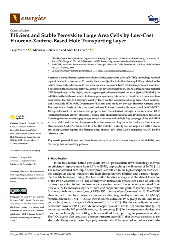 (PDF) Efficient and Stable Perovskite Large Area Cells by Low-Cost ...