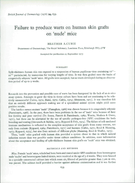(PDF) Failure to produce warts on human skin grafts on 'nude' mice