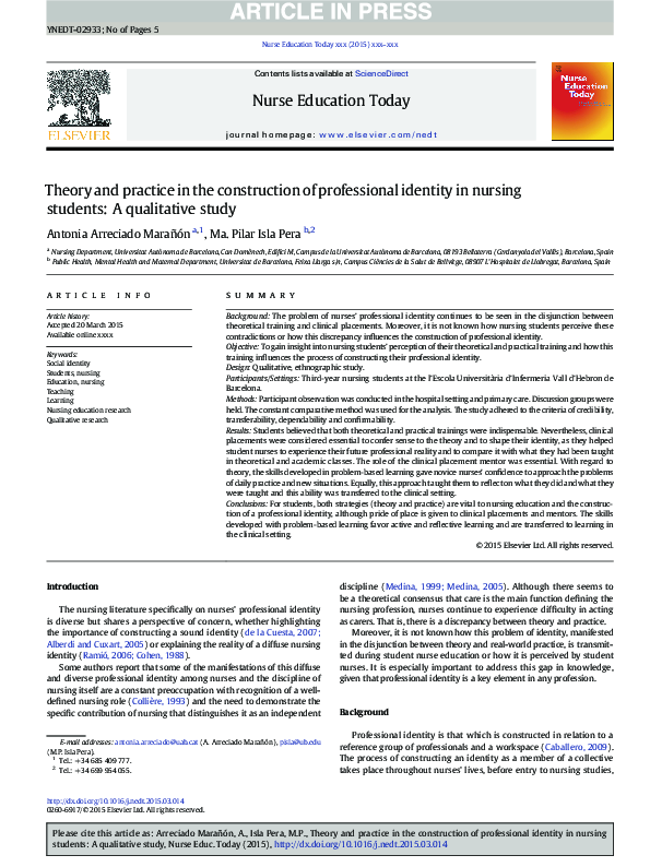 (PDF) Theory and practice in the construction of professional identity ...