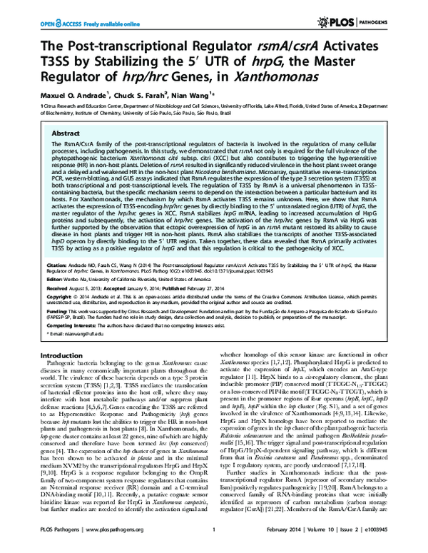 (PDF) The Post-transcriptional Regulator rsmA/csrA Activates T3SS by ...