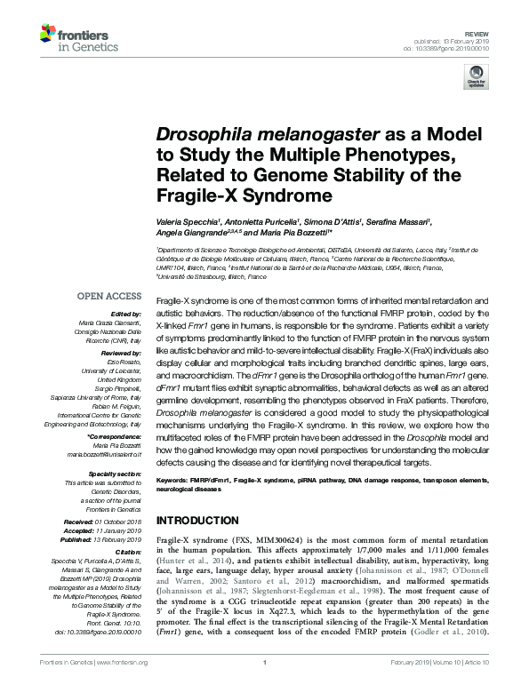 (PDF) Drosophila melanogaster as a Model to Study the Multiple ...