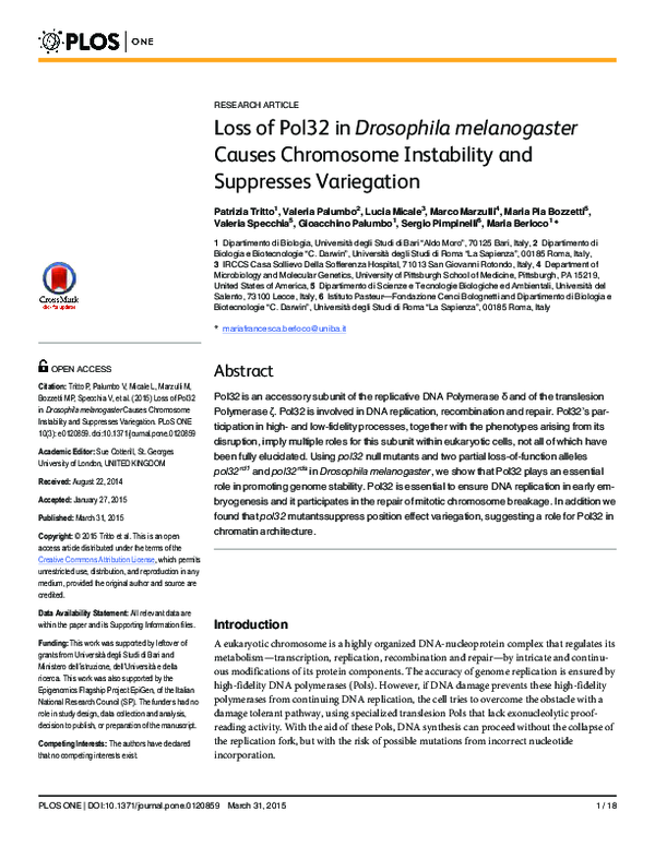 (PDF) Loss of Pol32 in Drosophila melanogaster Causes Chromosome ...