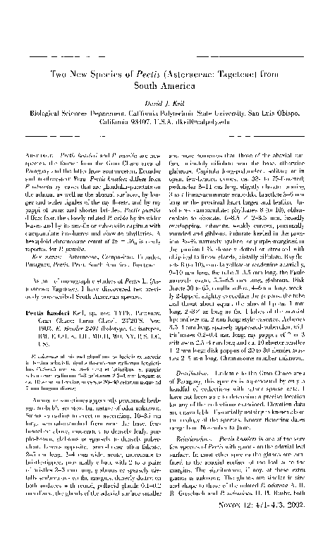 (PDF) Two New Species of Pectis (Asteraceae: Tageteae) from South America