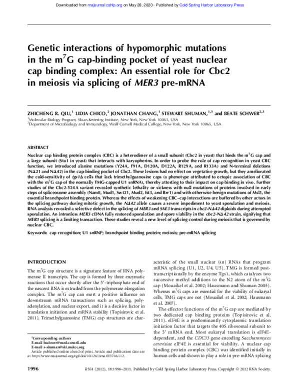 (PDF) Genetic interactions of hypomorphic mutations in the m7G cap ...