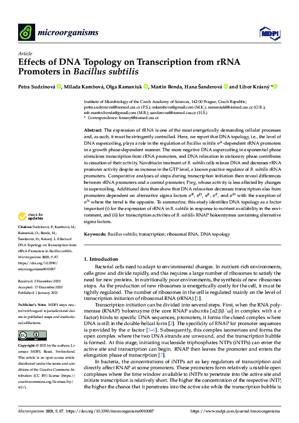 (PDF) Effects of DNA Topology on Transcription from rRNA Promoters in ...