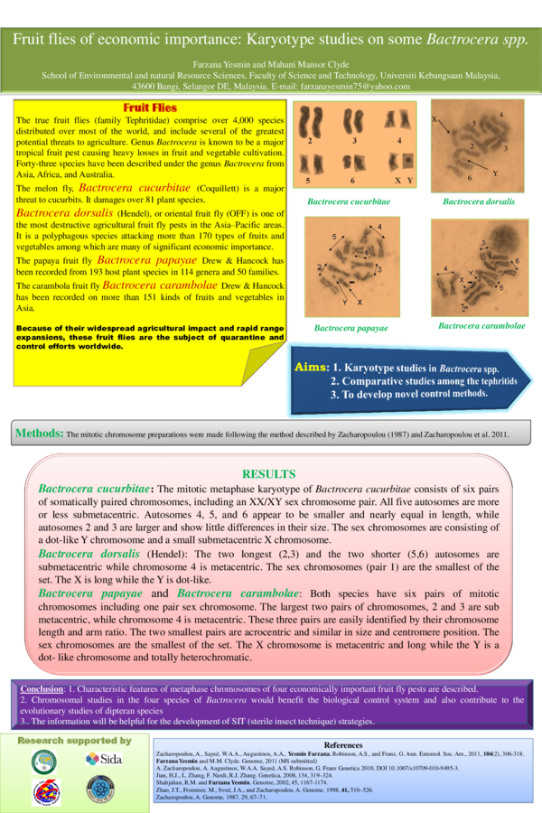 (PDF) Fruit flies of economic importance Karyotype studies on some