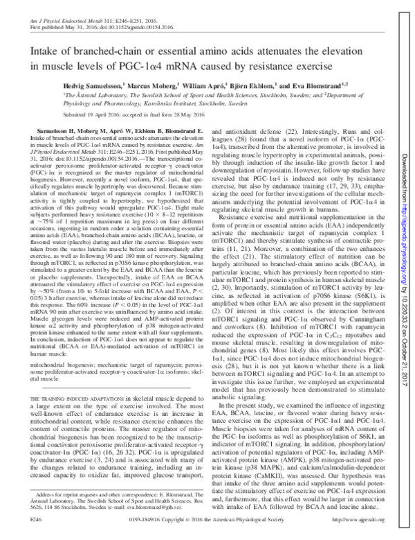 (PDF) Intake of branched-chain or essential amino acids attenuates the ...