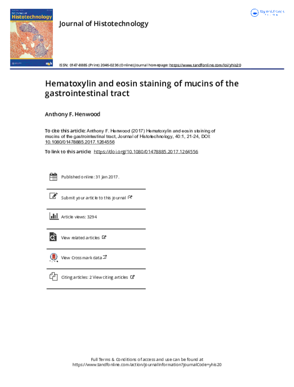 Importance of digestive system essay image