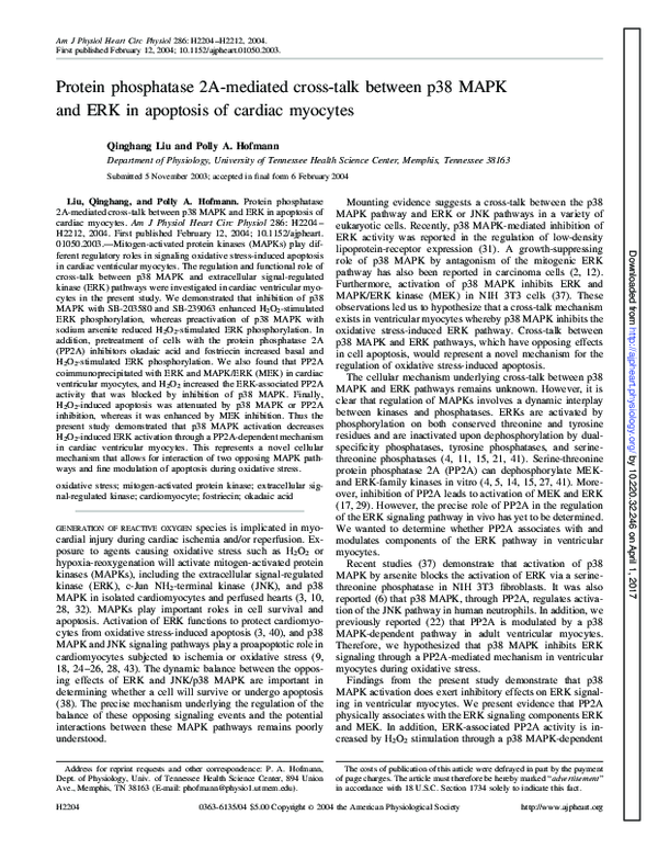 (PDF) Protein phosphatase 2A-mediated cross-talk between p38 MAPK and ...