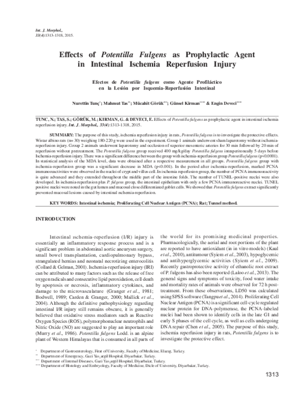 (PDF) Effects of Potentilla fulgens as a Prophylactic Agent for ...