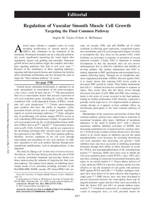 (PDF) Regulation of Vascular Smooth Muscle Cell Growth: Targeting the ...
