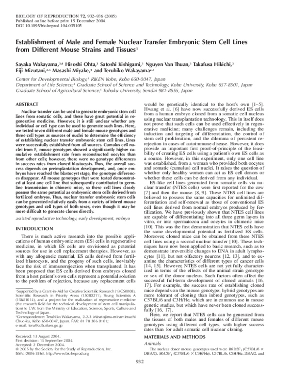 (PDF) Establishment of Male and Female Nuclear Transfer Embryonic Stem ...