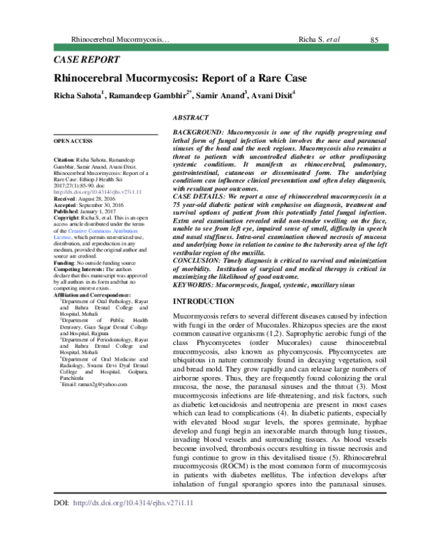 (PDF) [Rhinocerebral mucormycosis: report of a rare case in the head ...